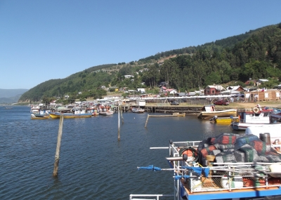  Alistan Octava Feria Costumbrista En Caleta Queule