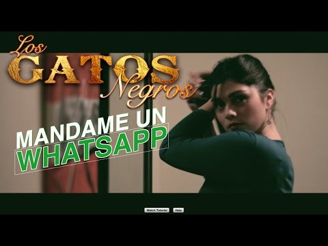  Lo Viste? El VideoClip De: Mandame Un  Whatsapp De Los Gatos Negros