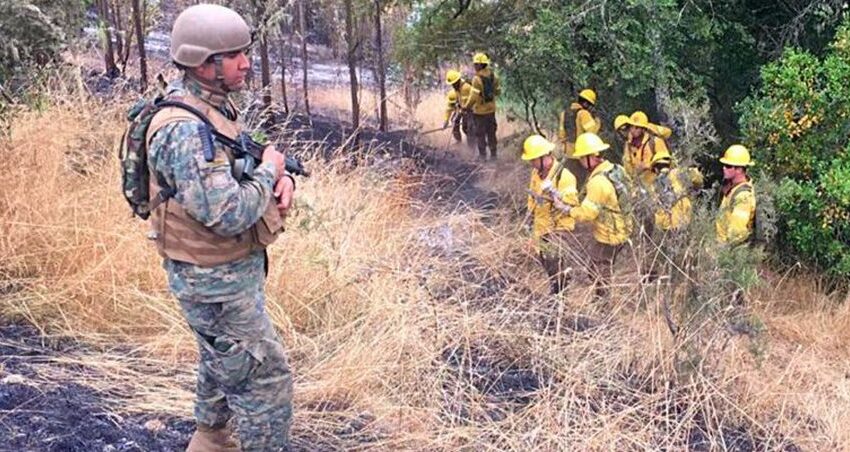  Delegado De La Araucanía Descartó Toque De Queda Para Prevenir Incendios Forestales