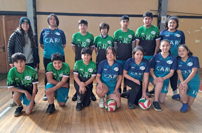  En Pucón Se Jugaron Eliminatorias De Voleibol Comunal Categoría Sub 14 Para Los Juegos Deportivos Escolares IND