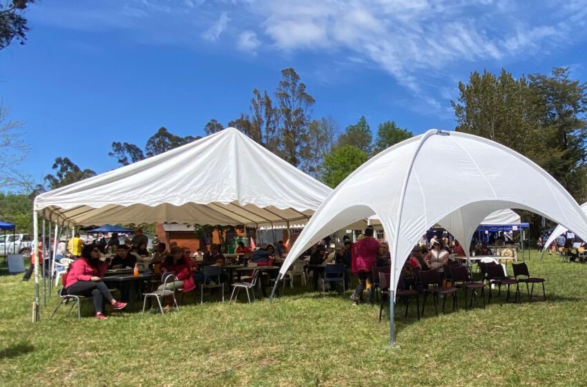  En Pitrufquén Exitosa Celebración De La Primera Feria Gastronómica «Tradiciones De Alto Mirador»